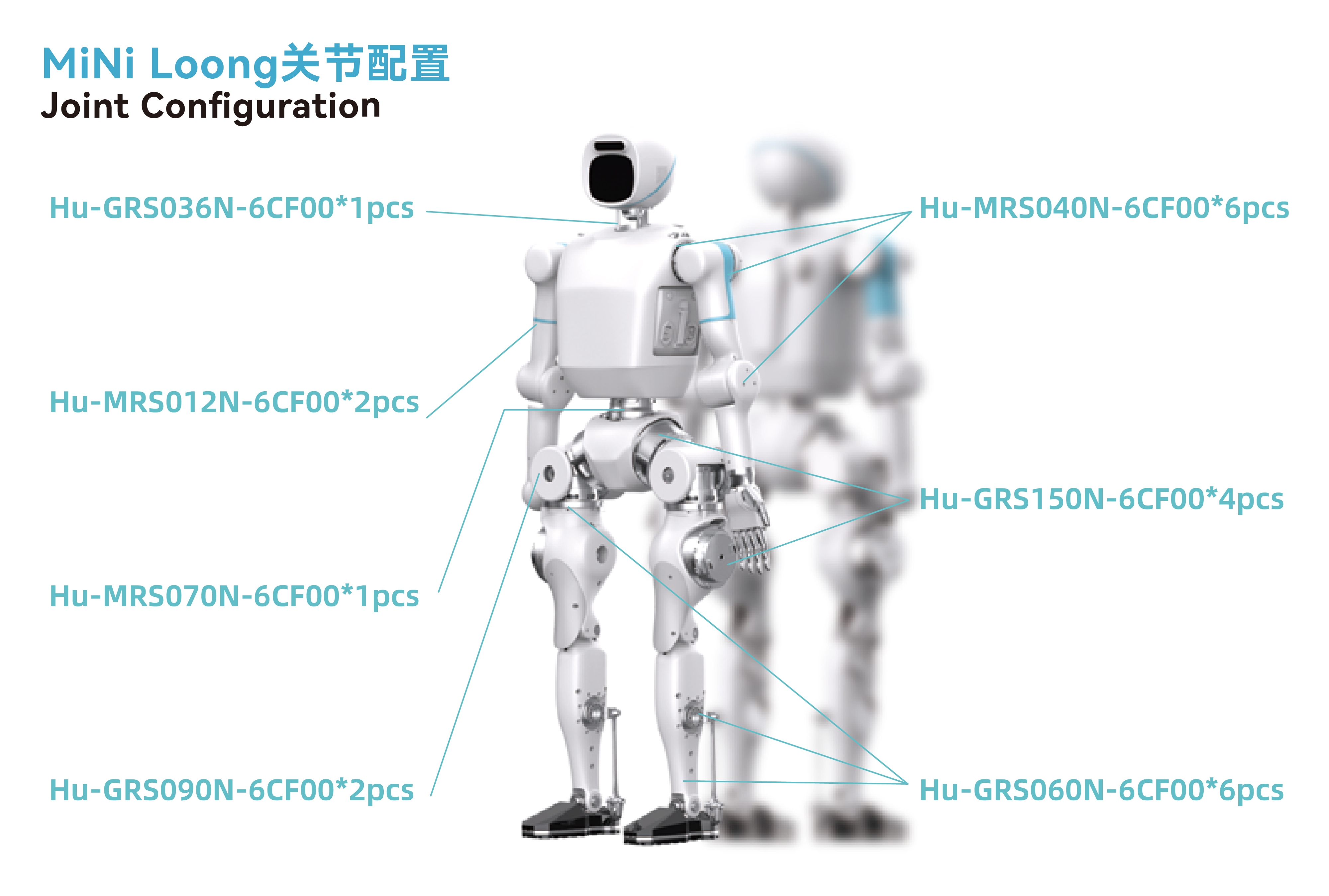 迷你龙_画板2.jpg